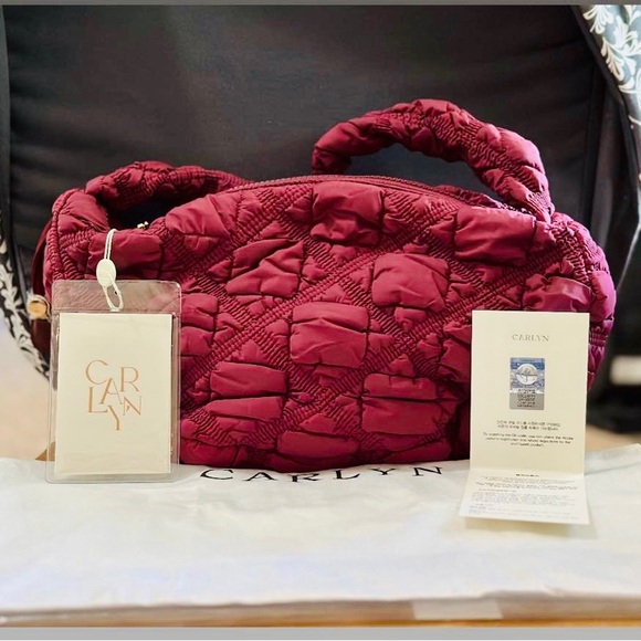 Brand New Carlyn Bag - Picture 1 of 1
